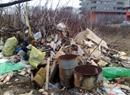Ekspresna čistilna akcija na Pokopališki stezi v Ljubljani, 16. januar 2012