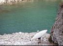 Solkan - Soča, Foto: Polona Iskra