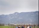 Ustje, Foto: Polona Ipavec